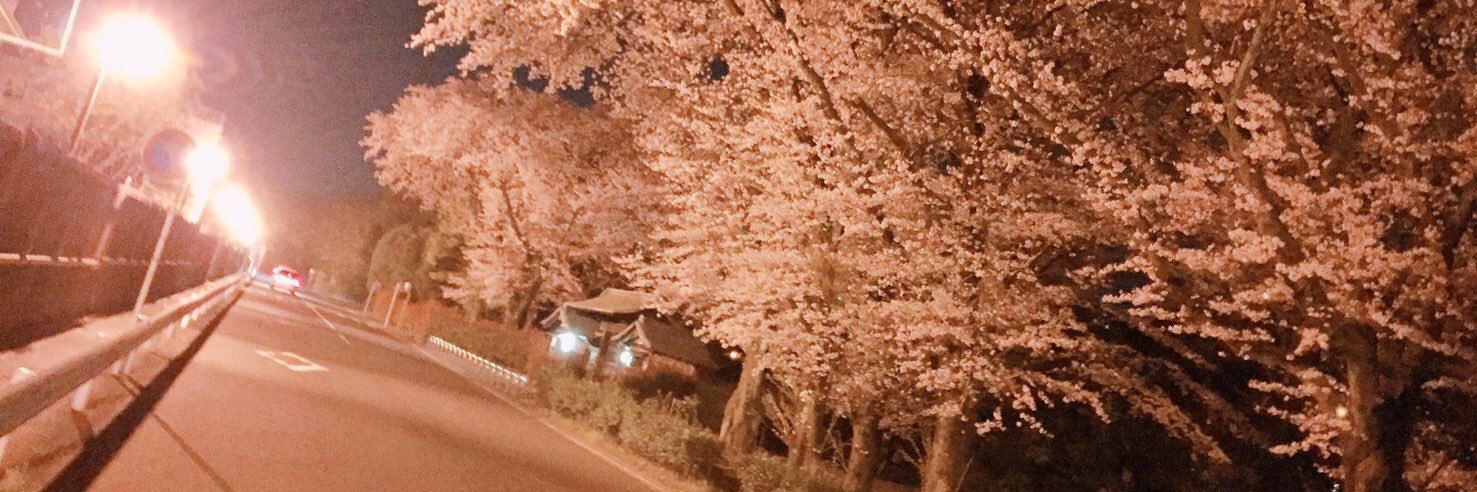 arippe_1207's profile banner image