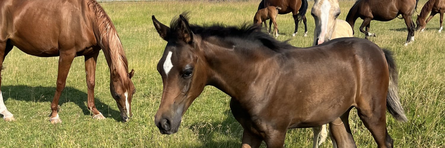 straight up not having a good time banner