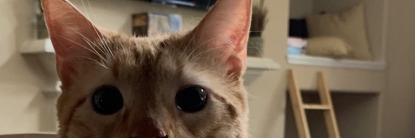 DM_oney's profile banner image