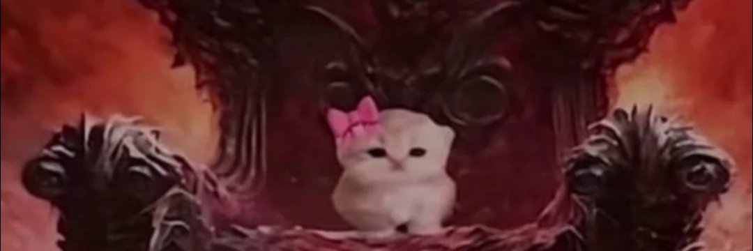 midnitelynx.bsky.social banner