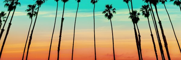 California Profile Banner