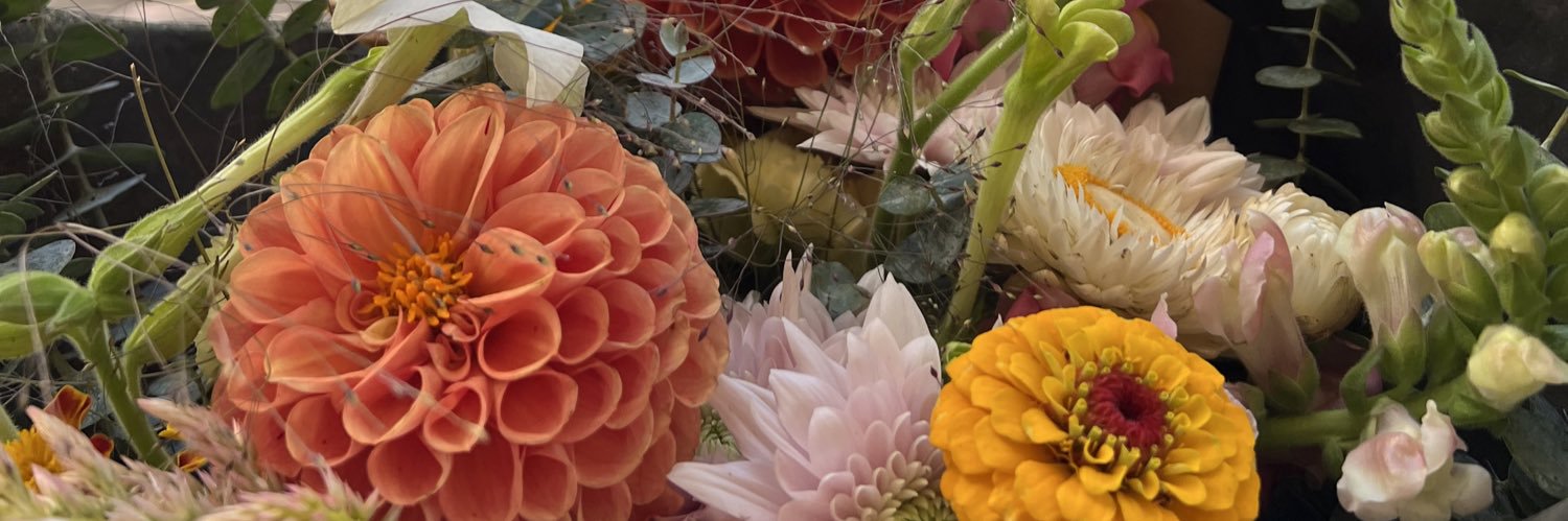 teaffyleaf's profile banner image
