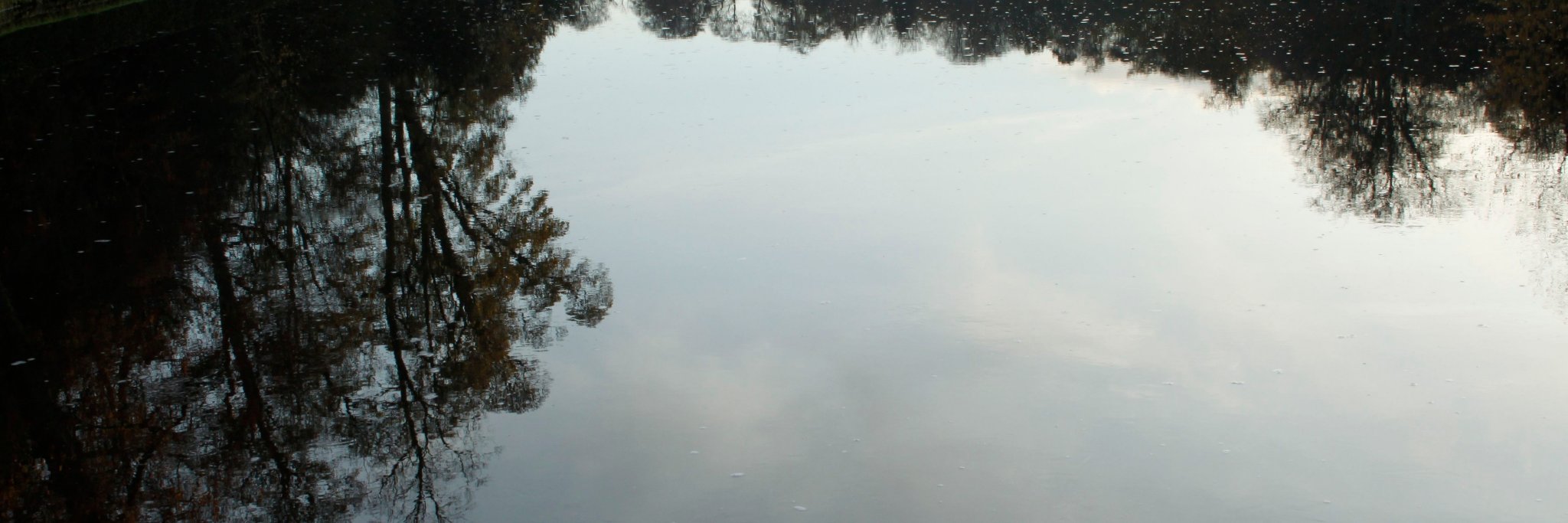 johnnIlovetrees's profile banner image