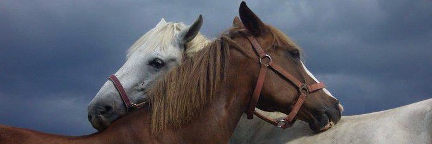 remaljnob's profile banner image