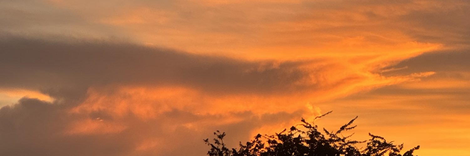 aloonn_'s profile banner image