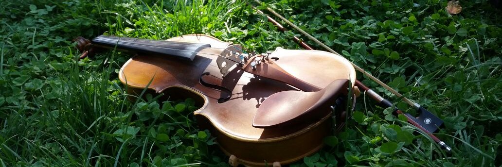 Isaac Ruisu 🇨🇱☘️-❄️🦊 (No Commissions) banner