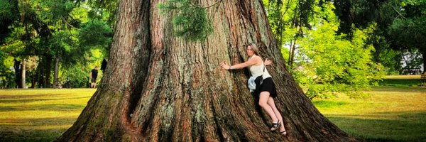 sylvialleong Profile Banner