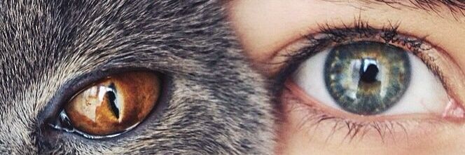 julia_mir555's profile banner image