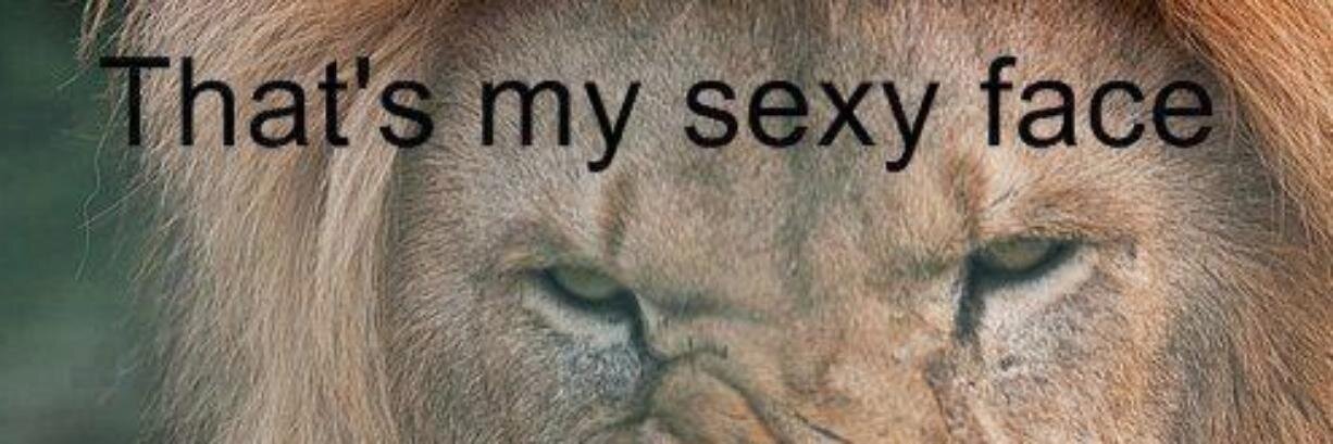 hakaneglmez's profile banner image