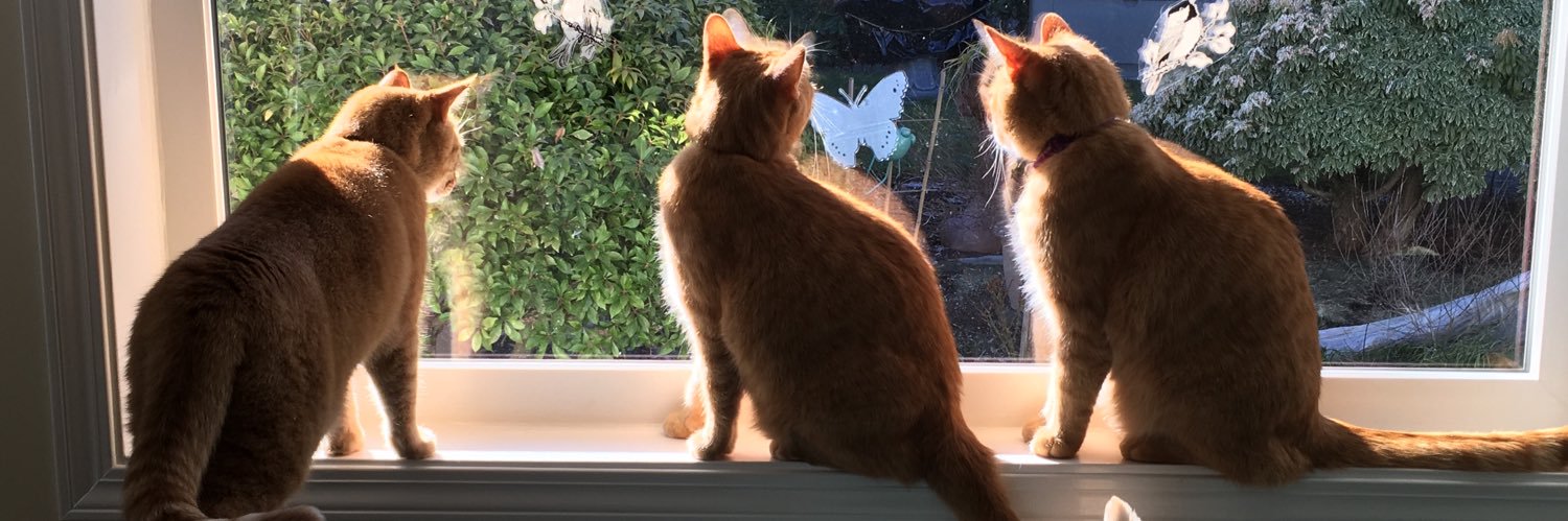 Joanne Nemeth banner