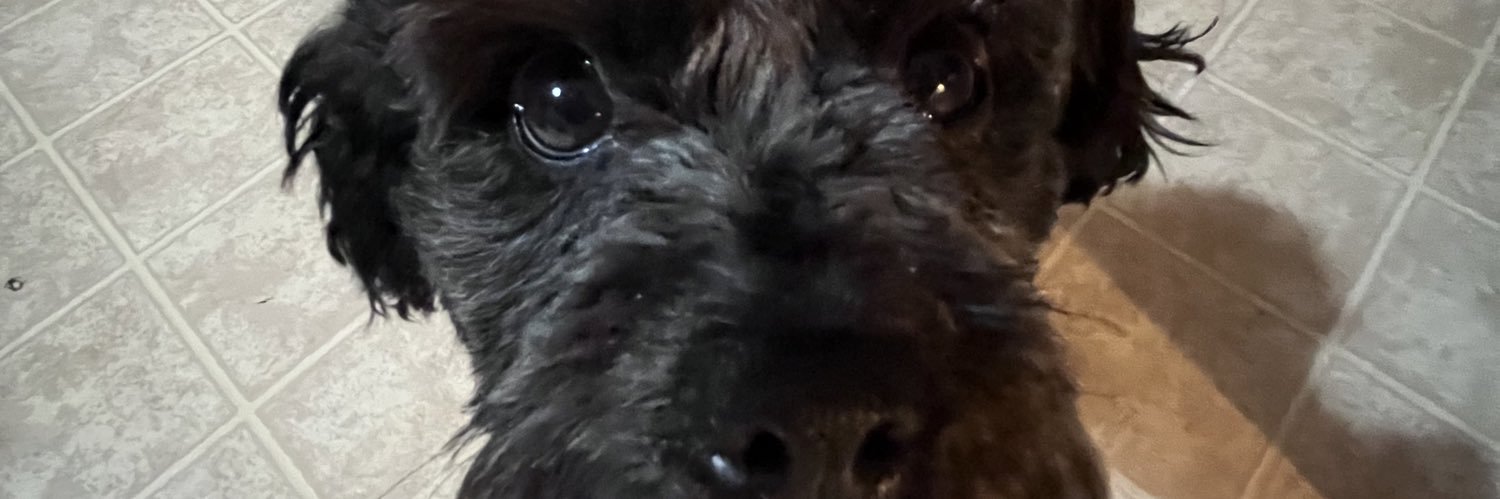 rebswill's profile banner image