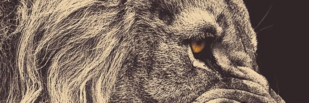 Rohbby_'s profile banner image