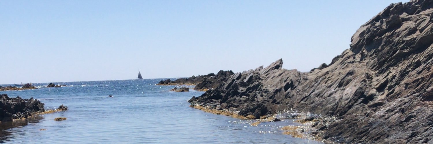 magdajove's profile banner image