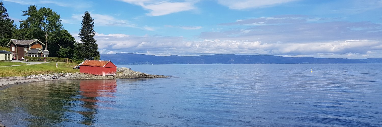 Jaelle Brealey banner