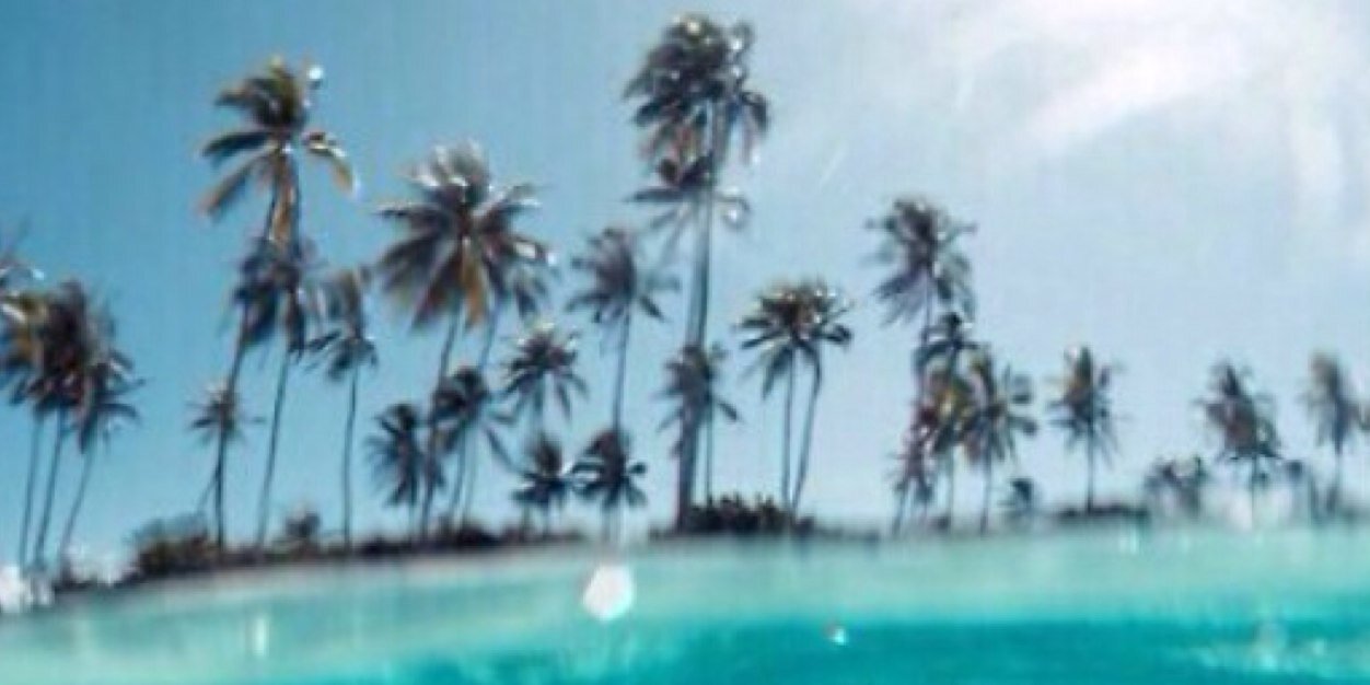 camschameleon's profile banner image