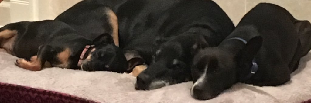 _maddiewill's profile banner image