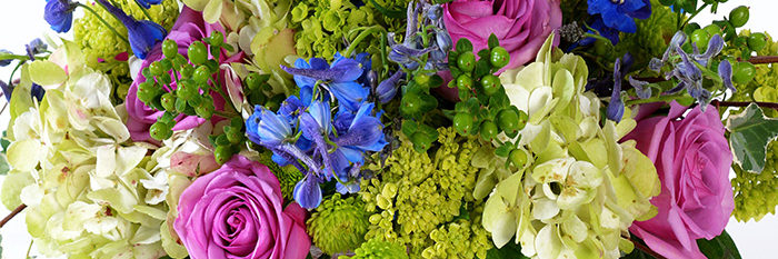 Canadianaflower's profile banner image