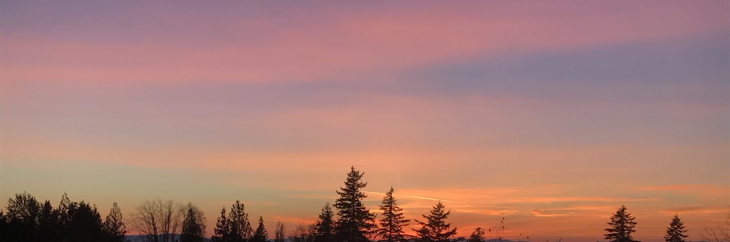 lizziediamond5's profile banner image