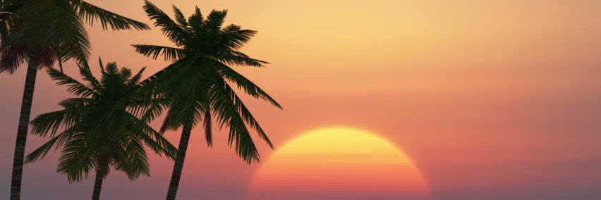 Eric H Midwest Boxing banner