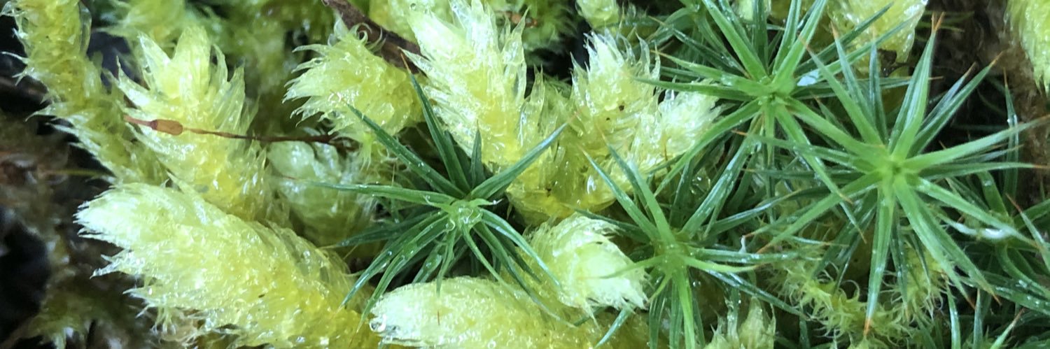 Dr. Jenna T. B. Ekwealor 🌱💪🏽 banner