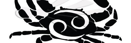 TweeterMe_ID's profile banner image