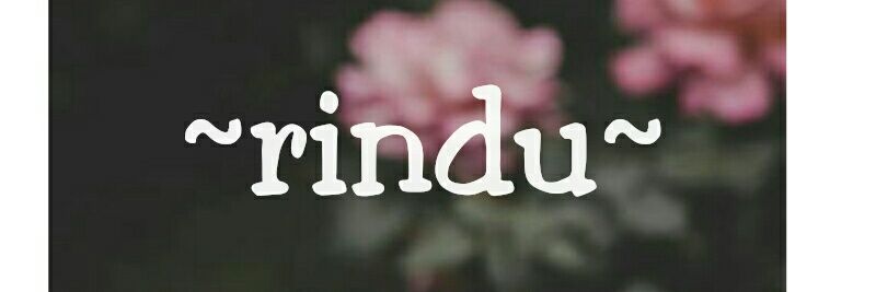 rizma_sharma's profile banner image