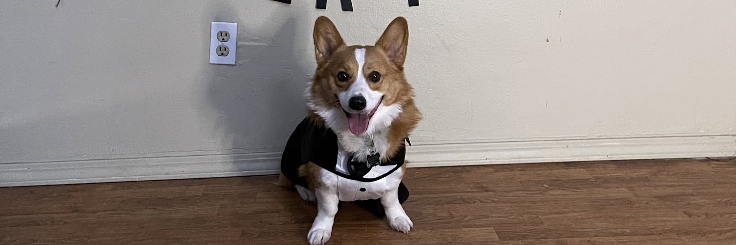 emohleee's profile banner image