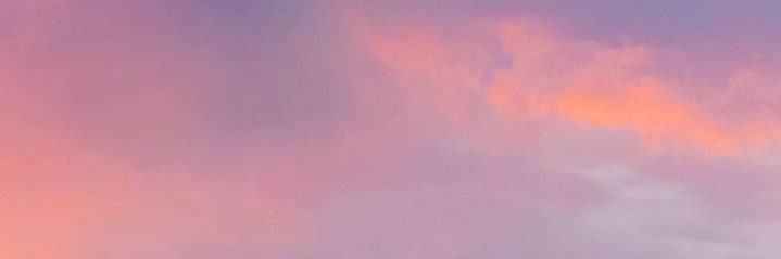 vanessa__celis's profile banner image