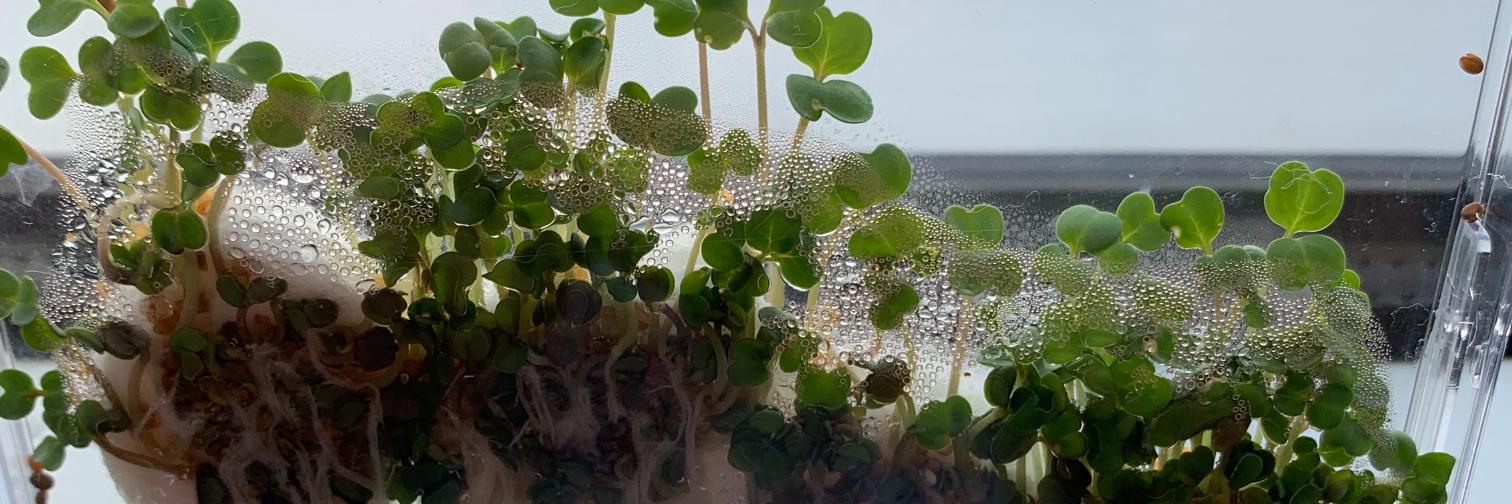 CharityInSTEMPBL banner