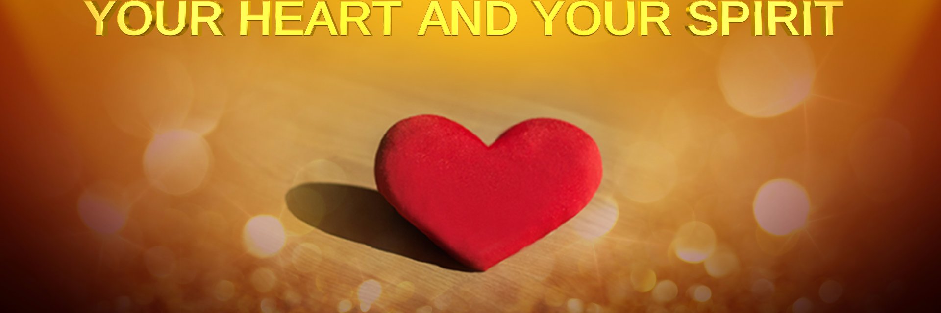 albertine_green's profile banner image