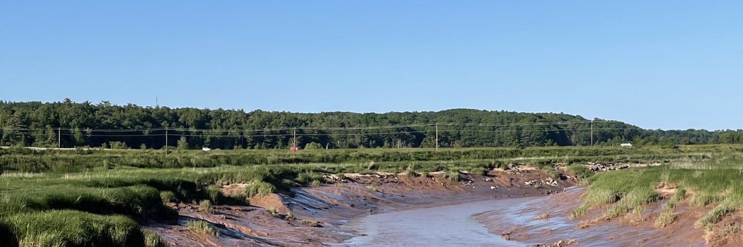 lmccabe55's profile banner image