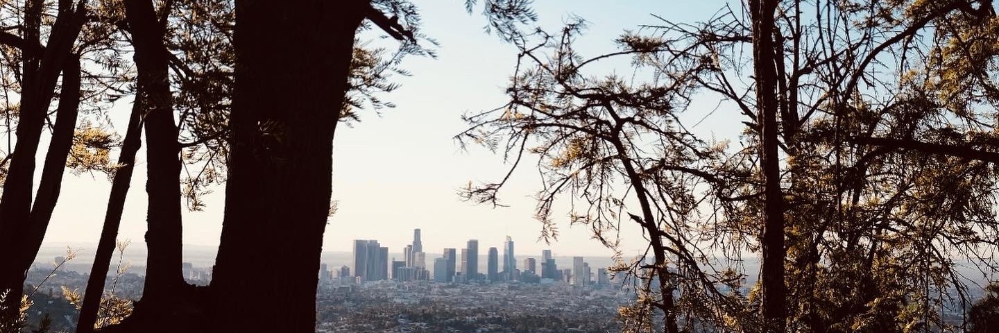 Alisha Jucevic banner