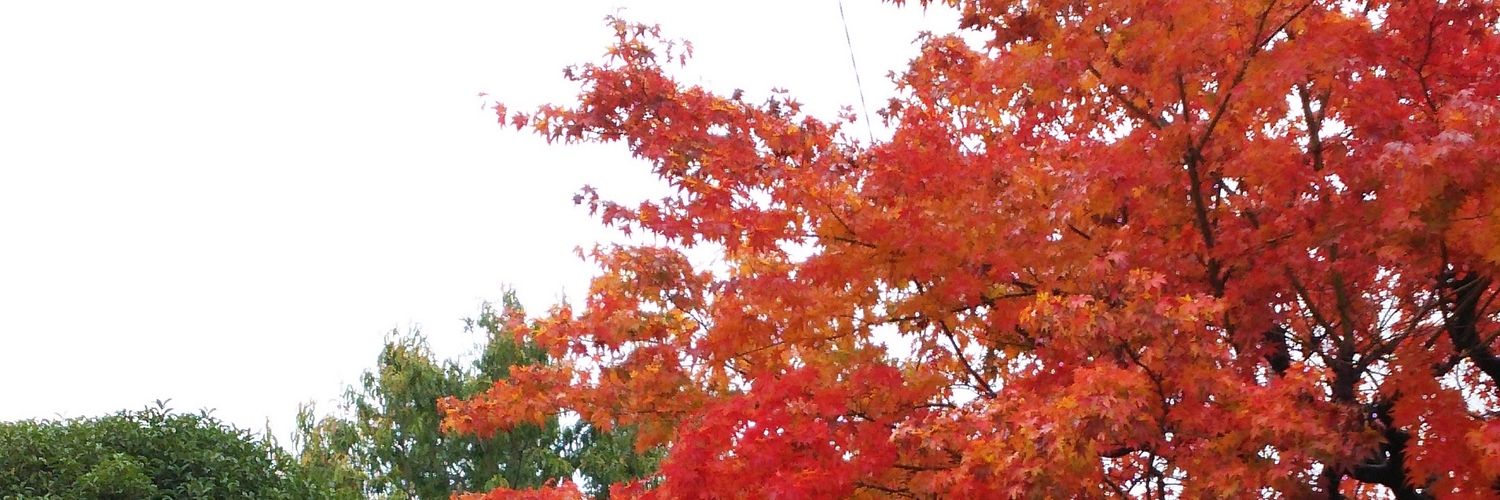 usya173's profile banner image