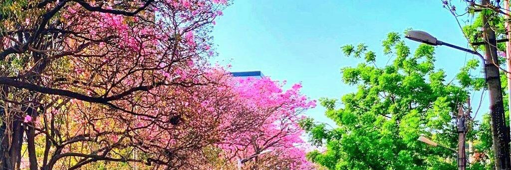 radeeshnchacko's profile banner image