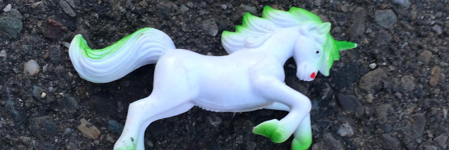 Donna Yelmokas 🛵 banner