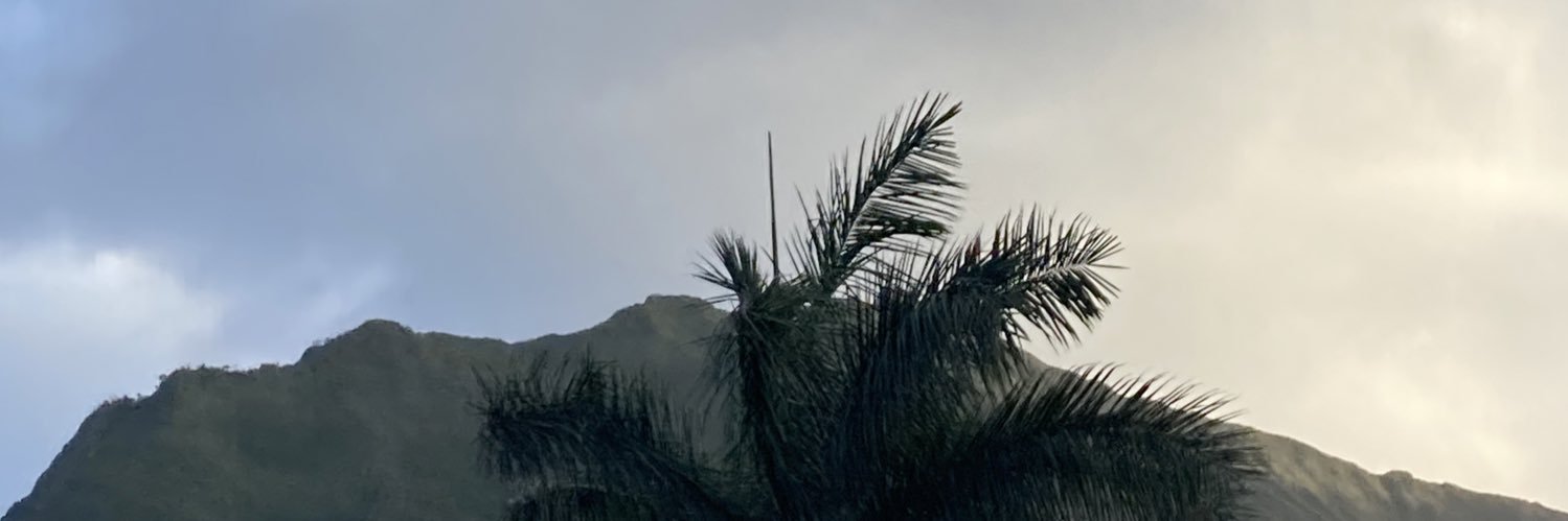 lezette_ann's profile banner image