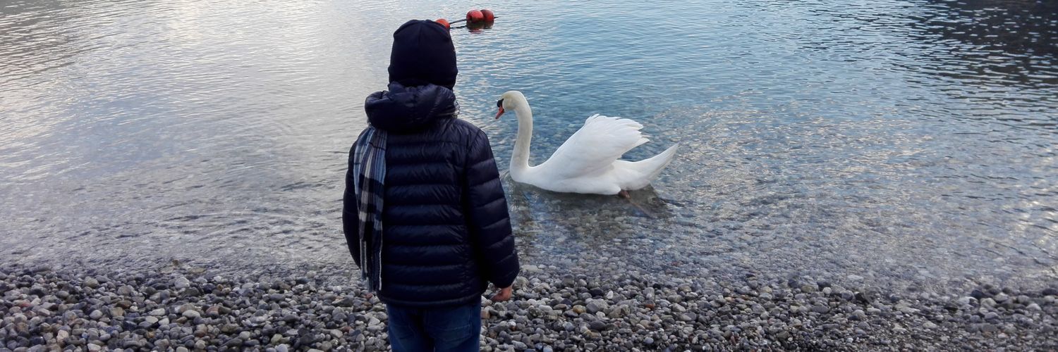 Emiliano Moccia banner