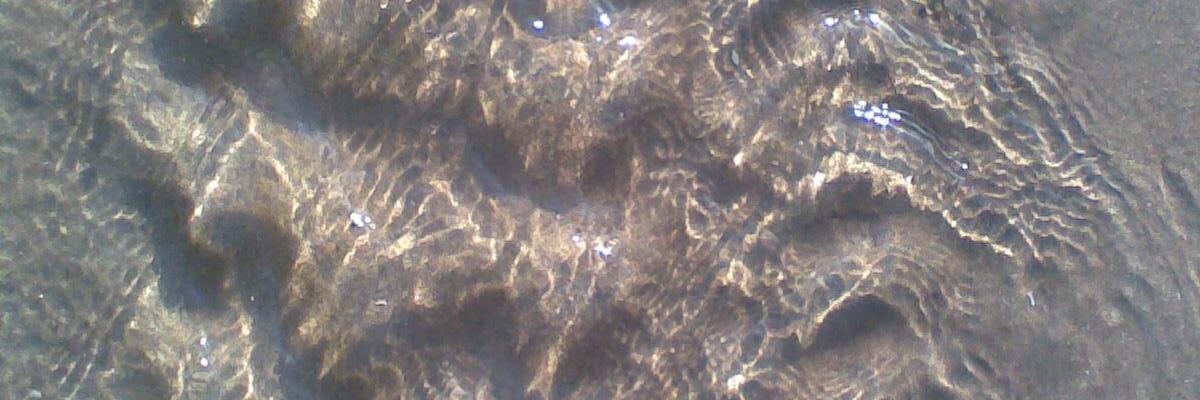 vincentvanpelt's profile banner image