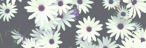 loudpackpeach's profile banner image