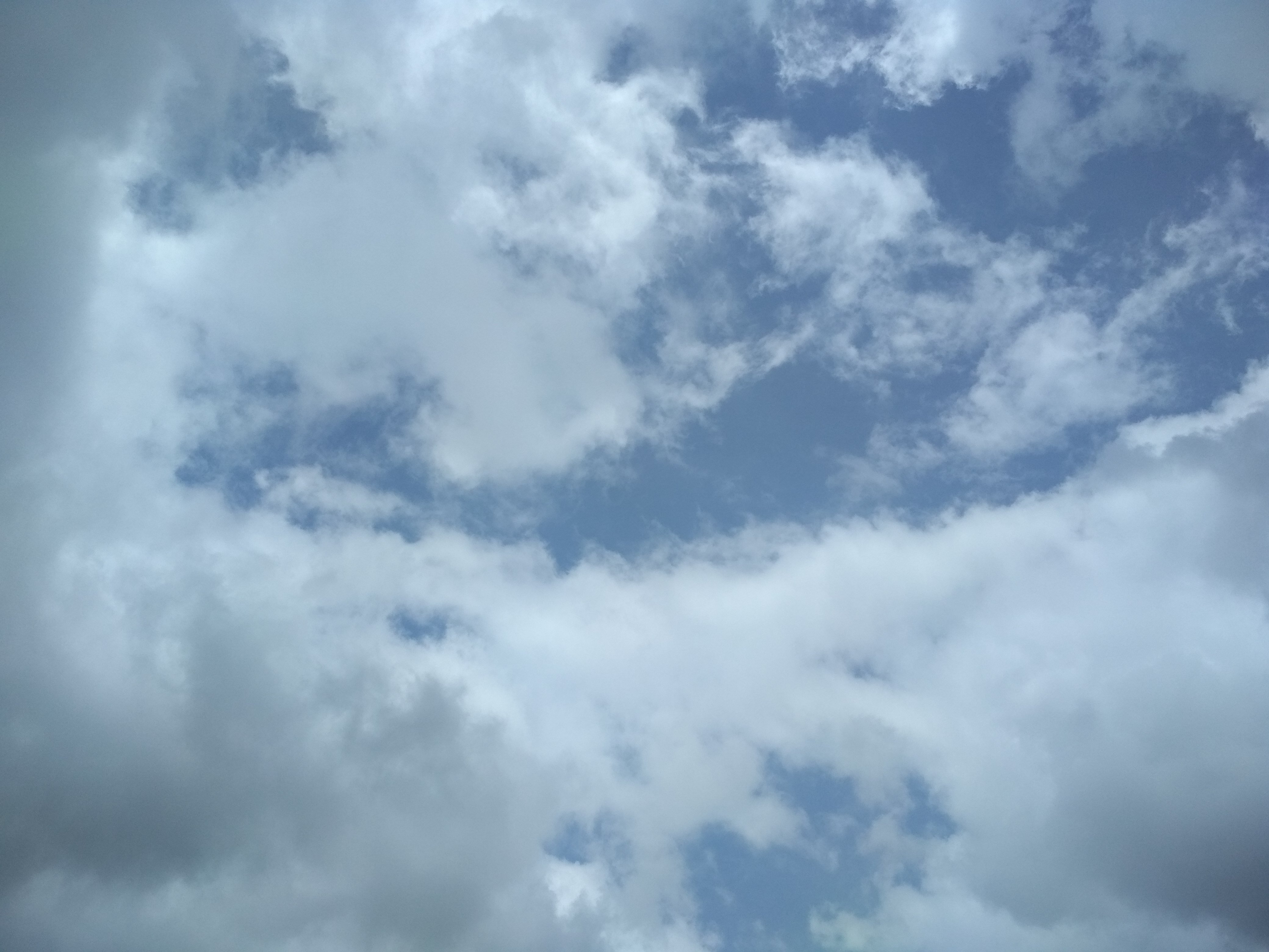 Yaumil banner