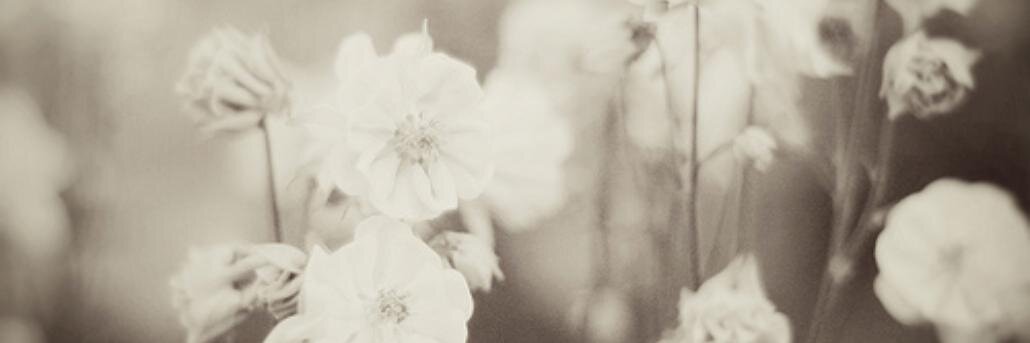 _janinaaa's profile banner image