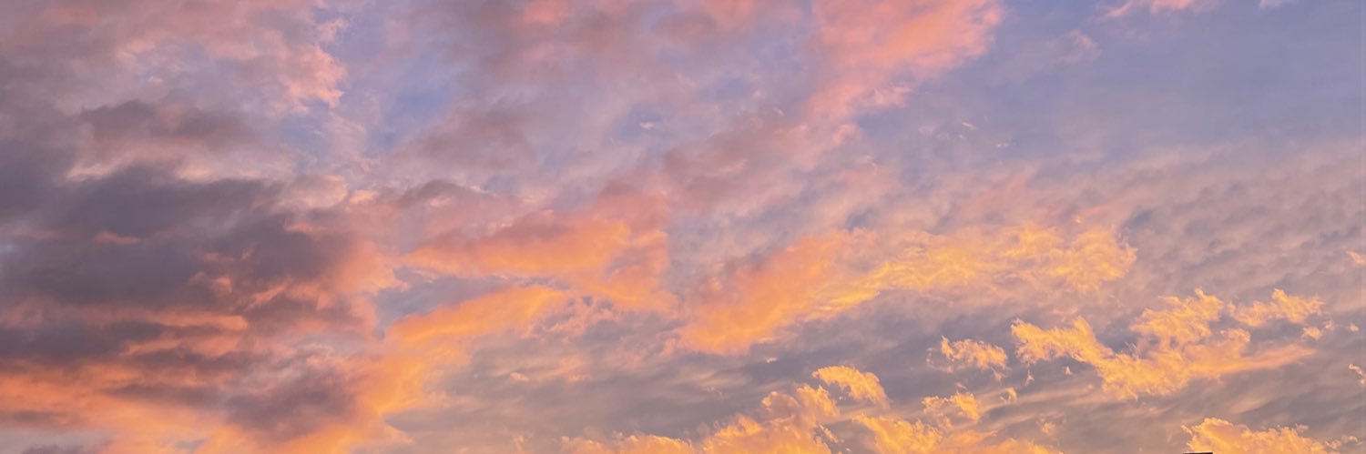 BovoSarah's profile banner image