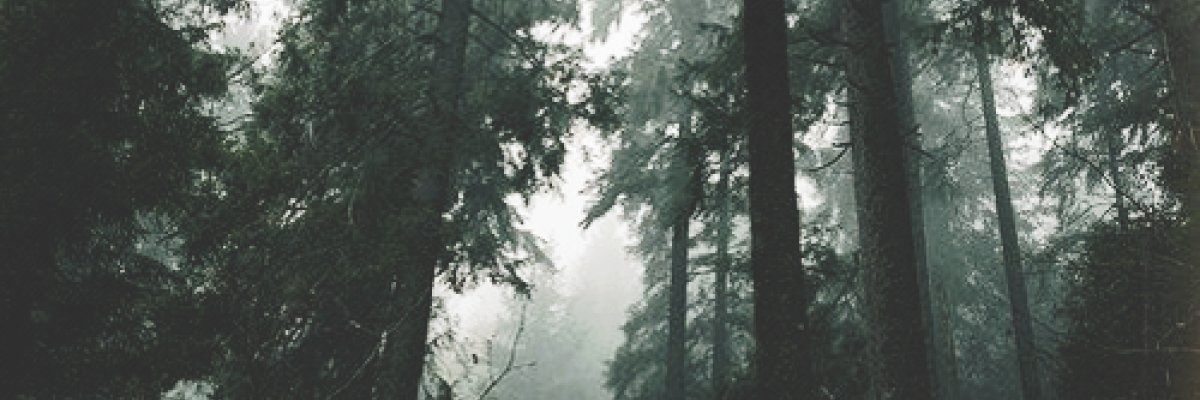 rustmeofficial's profile banner image