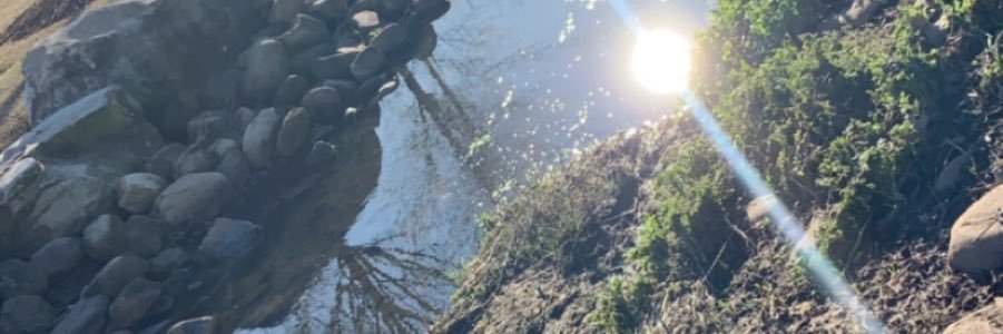 _Tropic_Al's profile banner image