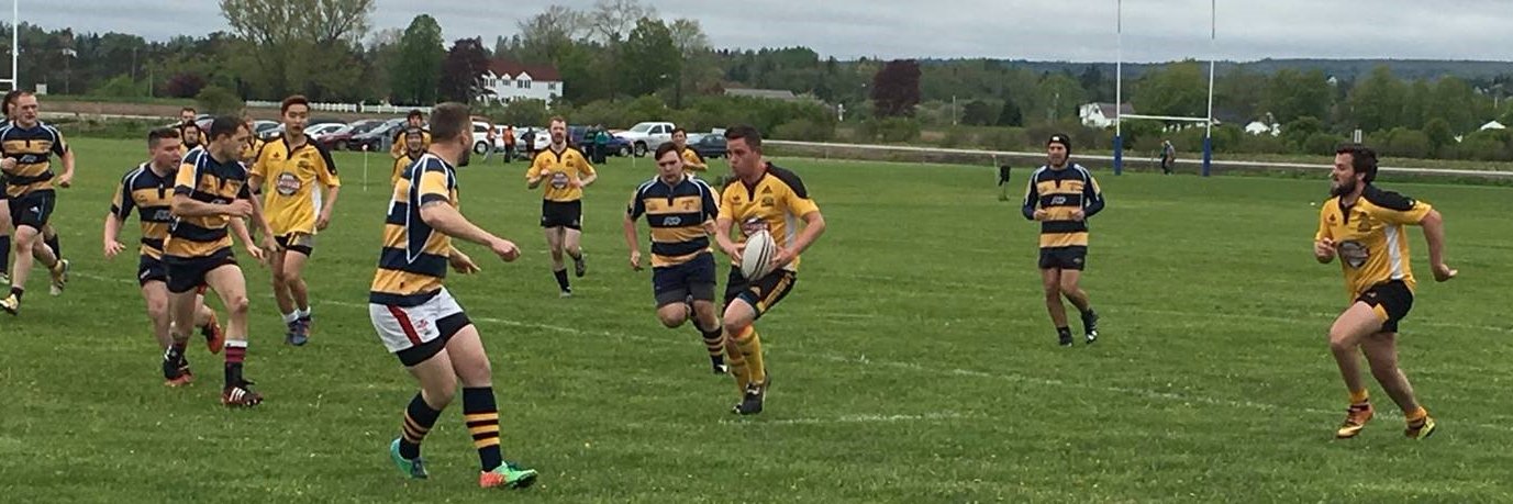 David A Foley banner