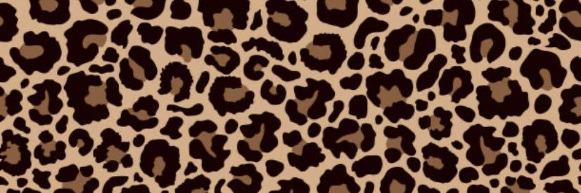 Busta_Noobs's profile banner image