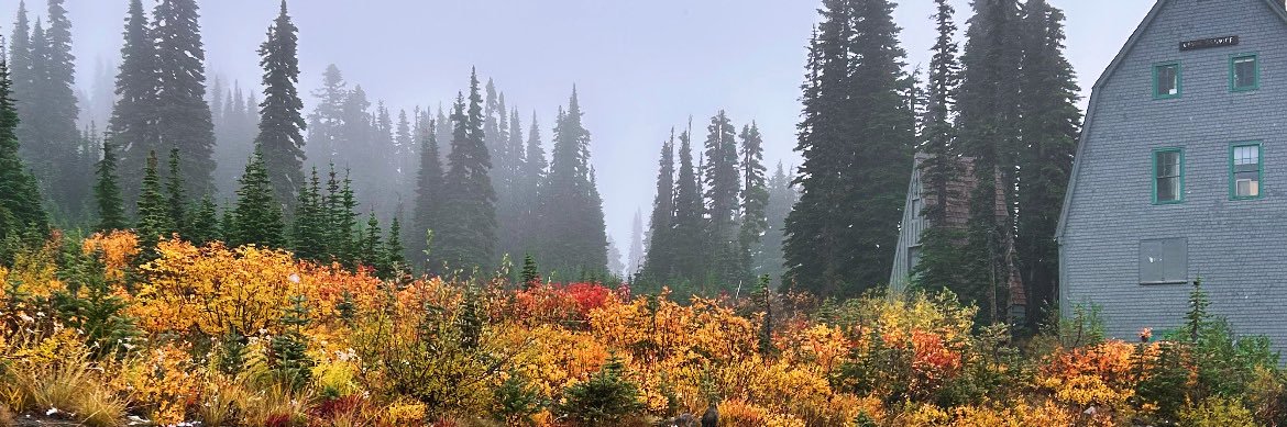 ᴮᴱ Ashley ⁷ ⟭⟬ ⟬⟭ banner