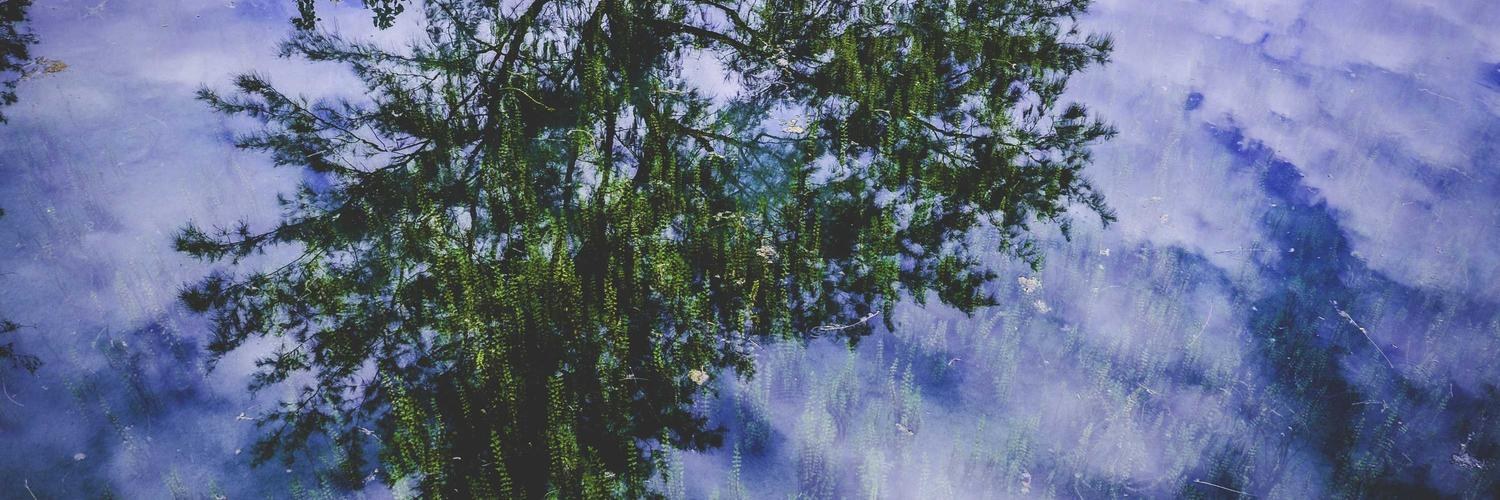 goblinwizardszn's profile banner image