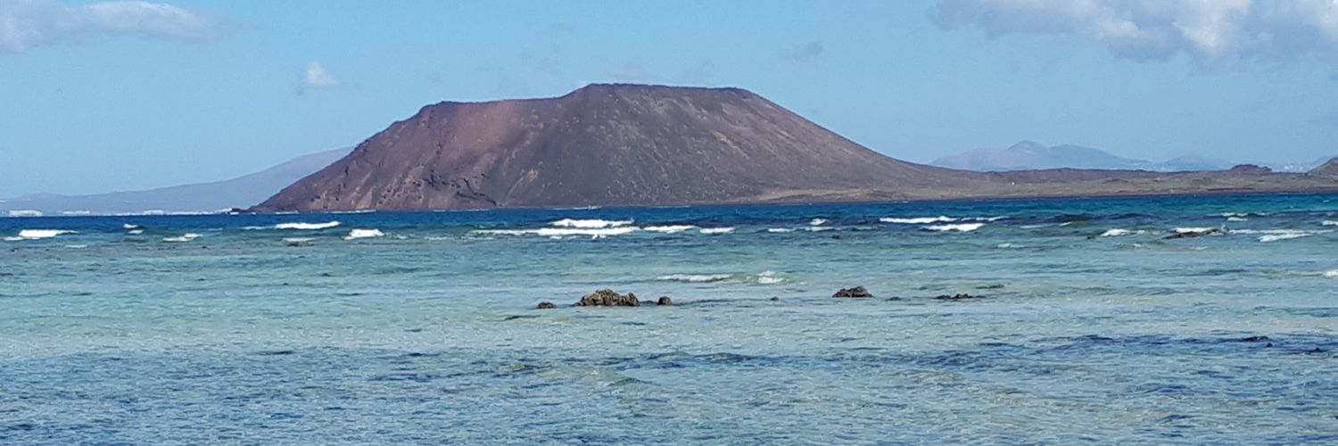 Rachel Austin banner