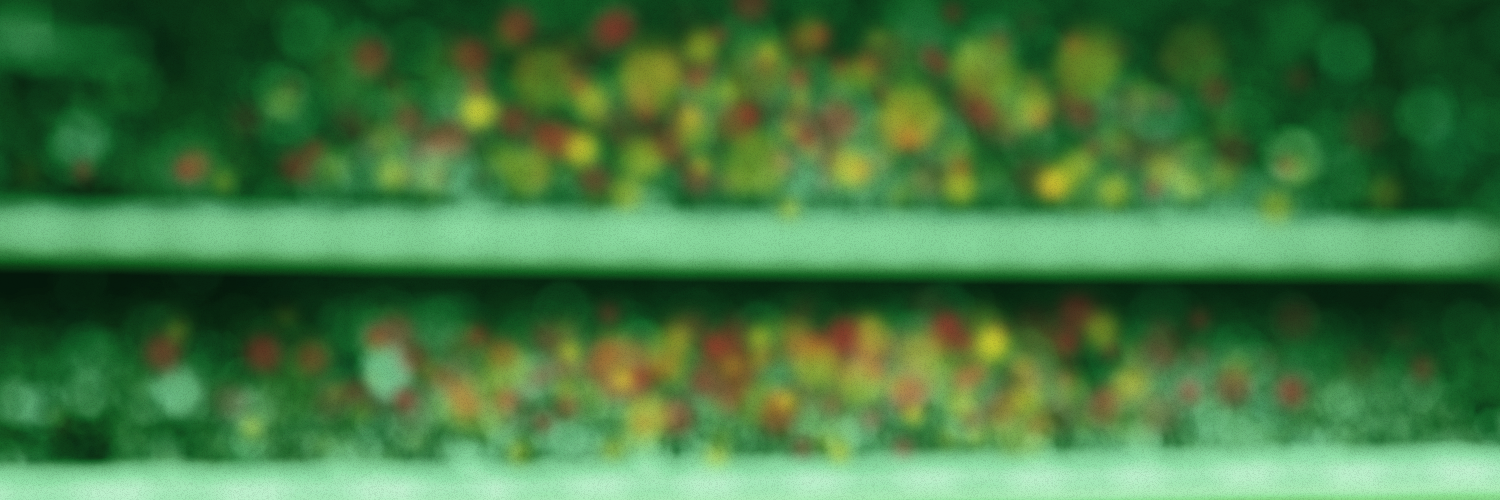 Proceed's banner